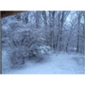 Meet your Posher, Carmen